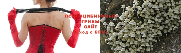 apvp Алексеевка