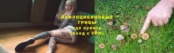 дмт Алзамай