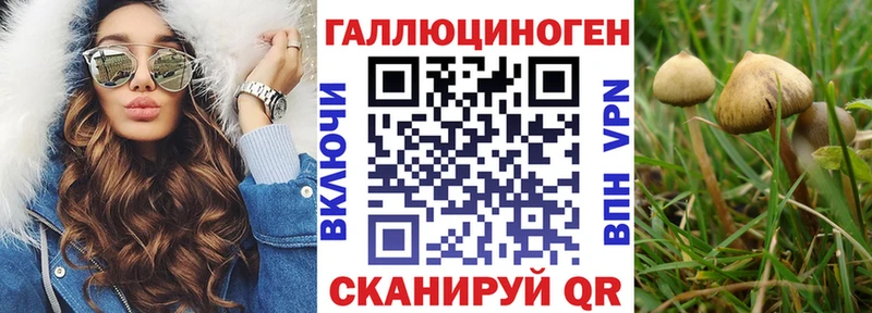 Галлюциногенные грибы Magic Shrooms  OMG вход  Ладушкин  даркнет сайт 